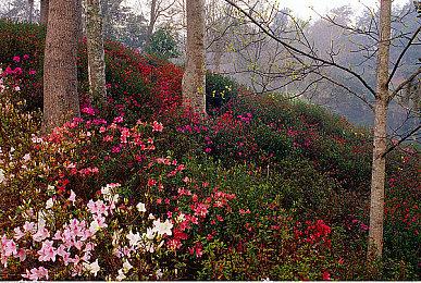 SEGA开启Steam如龙审判之眼系列促销活动